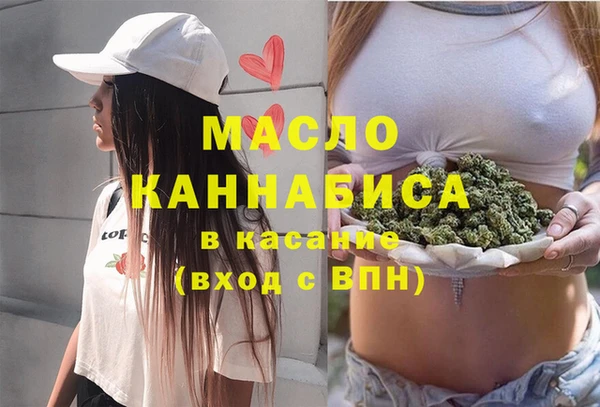 дмт Алексин