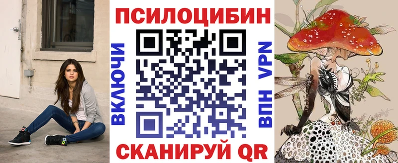 наркошоп Электрогорск маркетплейс официальный сайт Псилоцибиновые грибы Cubensis