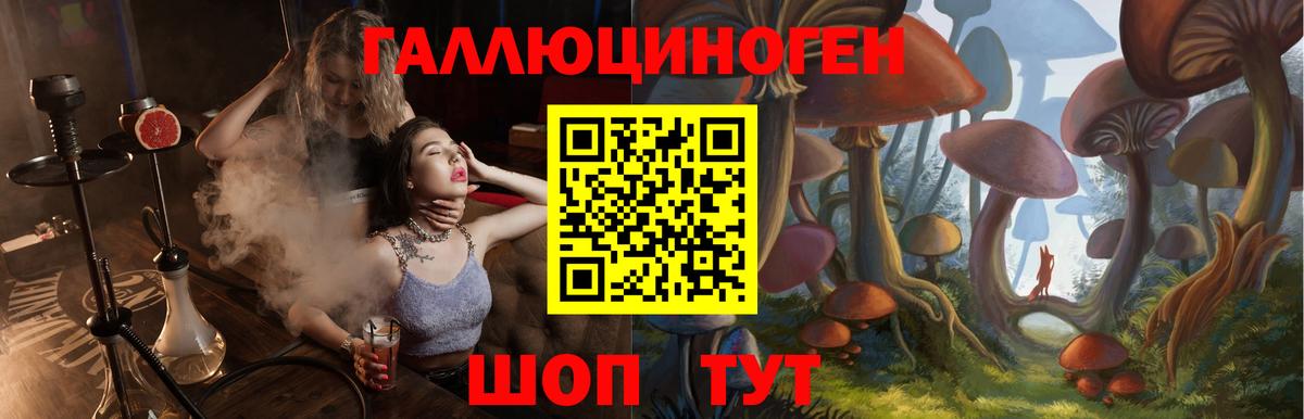 Электрогорск  Галлюциногенные грибы Psilocybe  Вход с VPN 